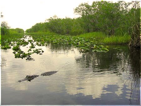 Billie Swamp Safari en Florida